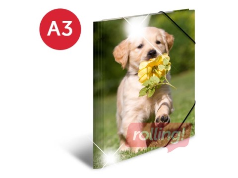 Mape ar 3 atlokiem un gumijām Herma, dzīvnieku apdruka, A3, PP glancēta