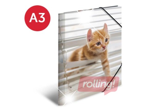 Mape ar 3 atlokiem un gumijām Herma, dzīvnieku apdruka, A3, PP glancēta