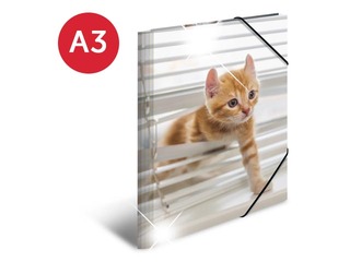 Mape ar 3 atlokiem un gumijām Herma, dzīvnieku apdruka, A3, PP glancēta