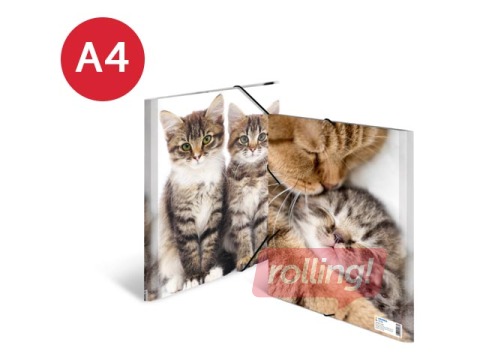 Mape ar 3 atlokiem un gumijām Herma, dzīvnieku apdruka, A4, PP