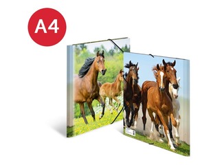 Mape ar 3 atlokiem un gumijām Herma, dzīvnieku apdruka, A4, PP