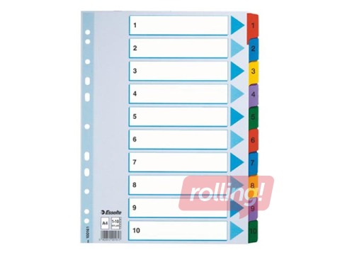 Dokumentu sadalītājs Esselte 1-10, A4, kartona