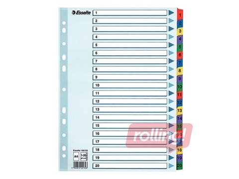 Dokumentu sadalītājs Esselte 1-20, A4, kartona
