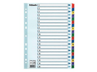 Dokumentu sadalītājs Esselte 1-20, A4, kartona