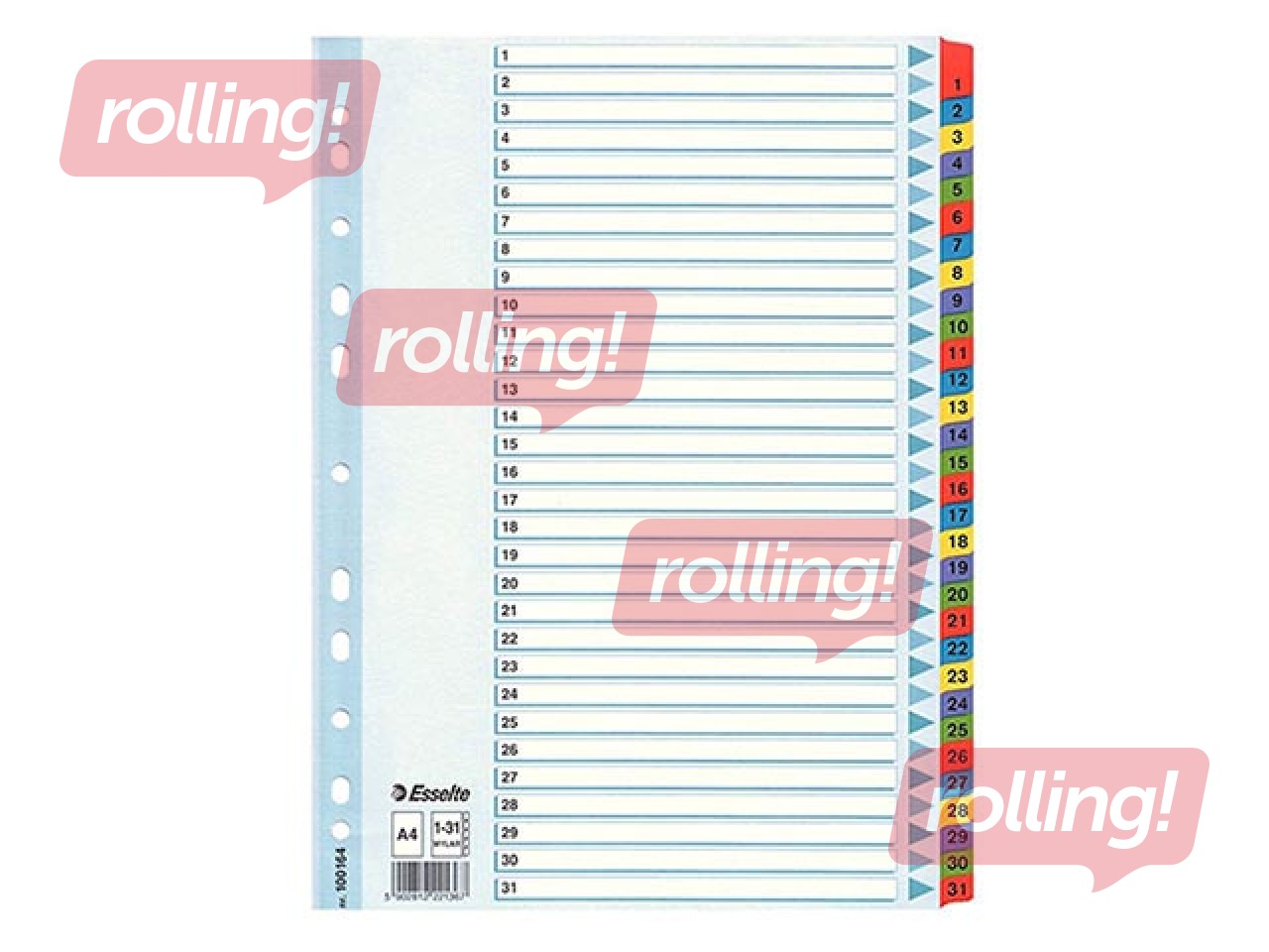 Dokumentu sadalītājs Esselte 1-31, A4, kartona