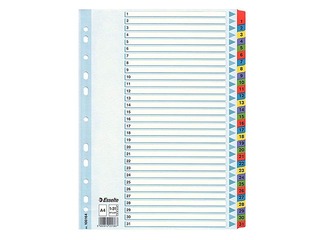 Dokumentu sadalītājs Esselte 1-31, A4, kartona