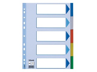 Dokumentu sadalītājs Esselte, PP, A4, 5 sadaļas, krāsains