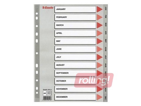 Dokumentu sadalītājs Esselte Jan. - Dec., A4, PP, pelēks