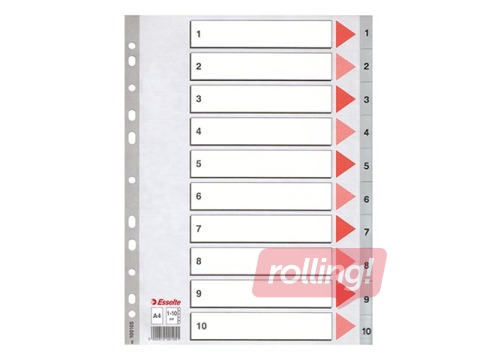Dokumentu sadalītājs Esselte 1-10, A4, PP, pelēks