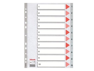 Dokumentu sadalītājs Esselte 1-10, A4, PP, pelēks