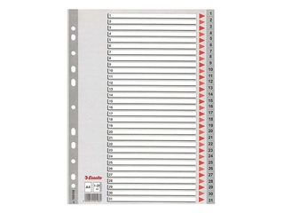 Dokumentu sadalītājs Esselte 1-31, A4, PP, pelēks