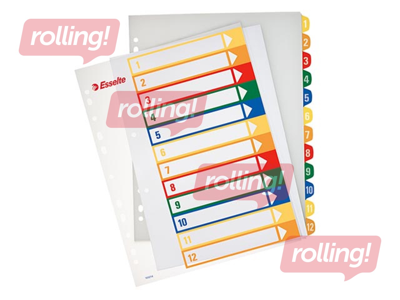 Sadalītājs dokumentiem Esselte Project A4, 1-12, plastikāta