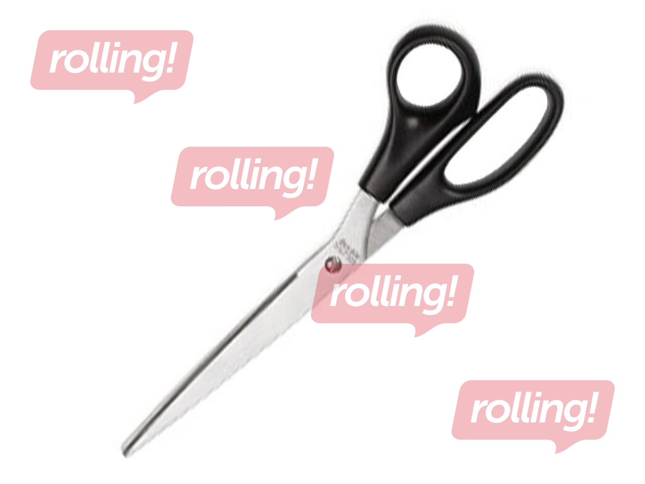 Šķēres Forpus, 25.5cm