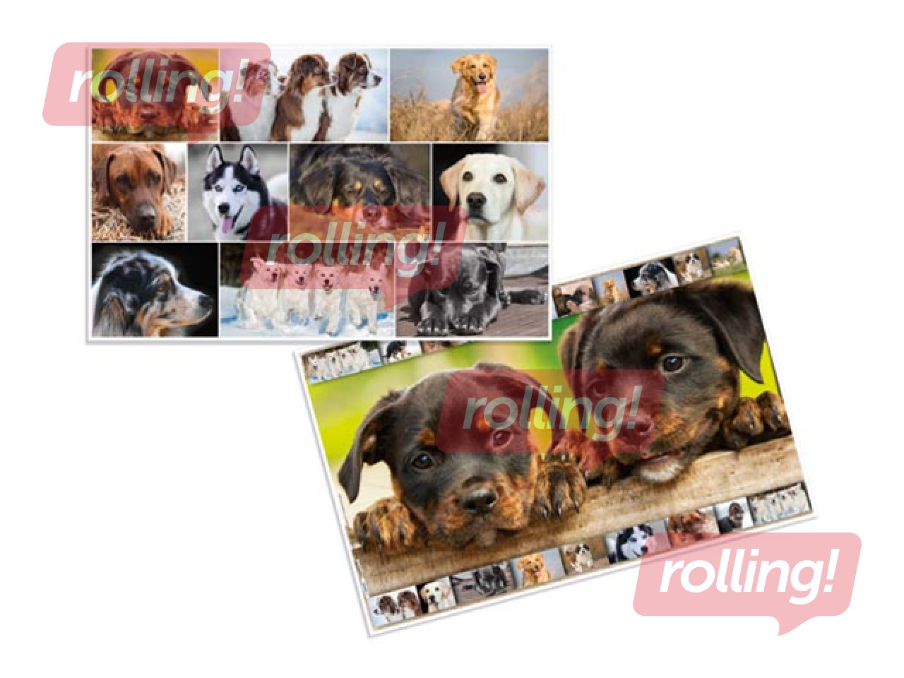 Galda segums ar dzīvnieku attēliem, 55x35cm