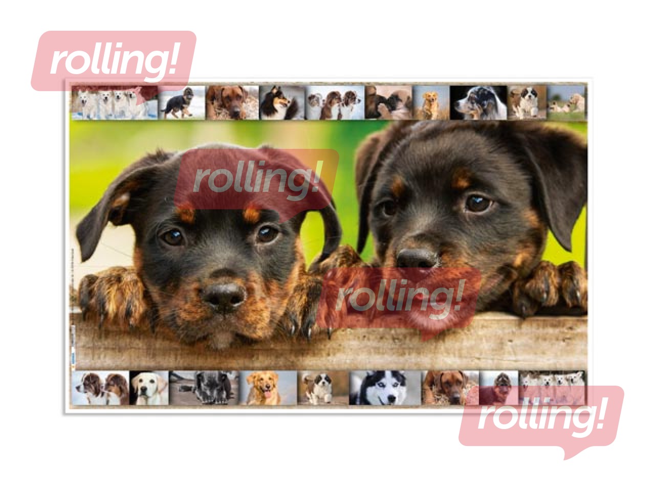 Galda segums ar dzīvnieku attēliem, 55x35cm