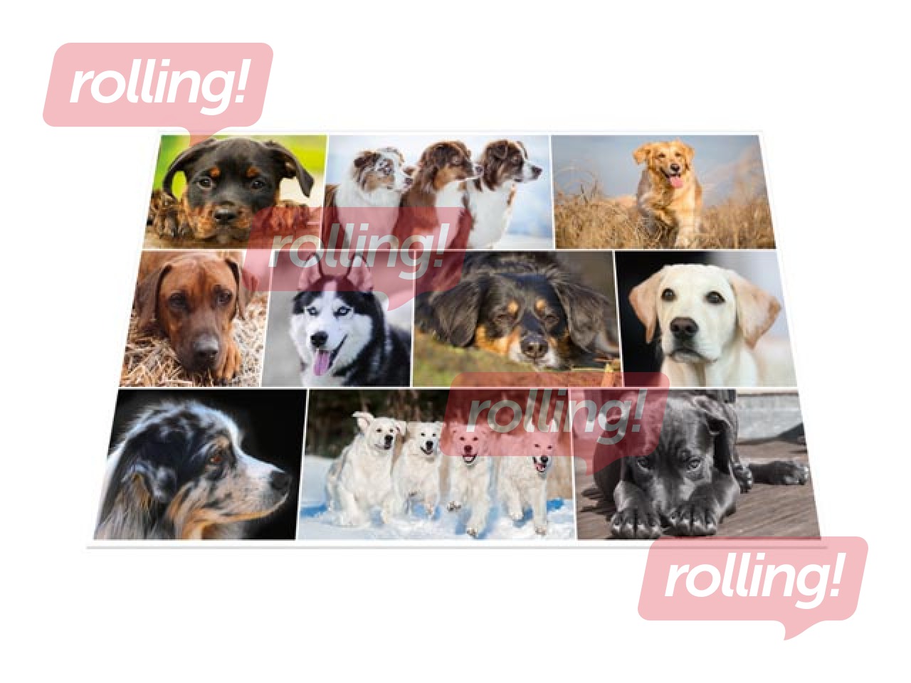 Galda segums ar dzīvnieku attēliem, 55x35cm