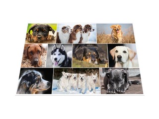 Galda segums ar dzīvnieku attēliem, 55x35cm