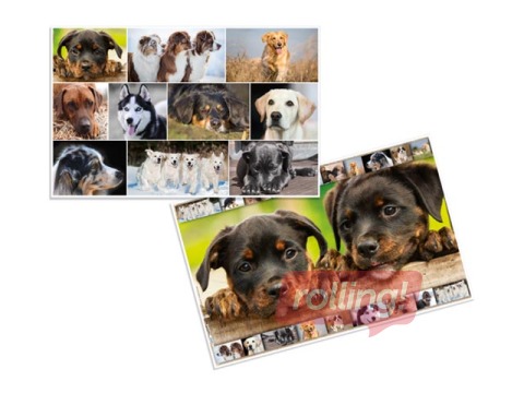 Galda segums ar dzīvnieku attēliem, 55x35cm