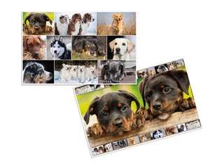 Galda segums ar dzīvnieku attēliem, 55x35cm