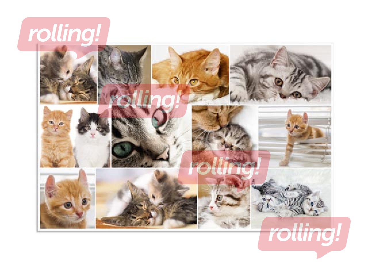 Galda segums ar dzīvnieku attēliem, 55x35cm