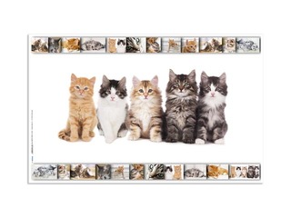 Galda segums ar dzīvnieku attēliem, 55x35cm