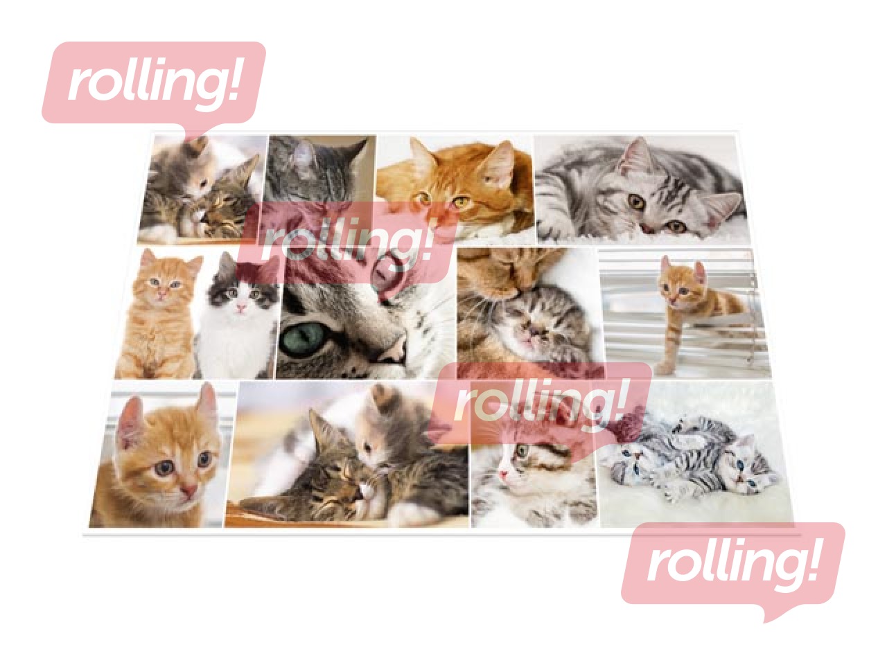 Galda segums ar dzīvnieku attēliem, 55x35cm