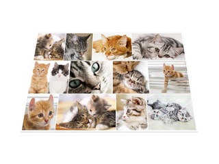 Galda segums ar dzīvnieku attēliem, 55x35cm