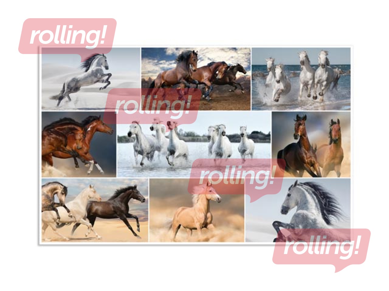 Galda segums ar dzīvnieku attēliem, 55x35cm