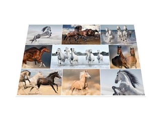 Galda segums ar dzīvnieku attēliem, 55x35cm