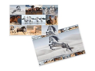 Galda segums ar dzīvnieku attēliem, 55x35cm