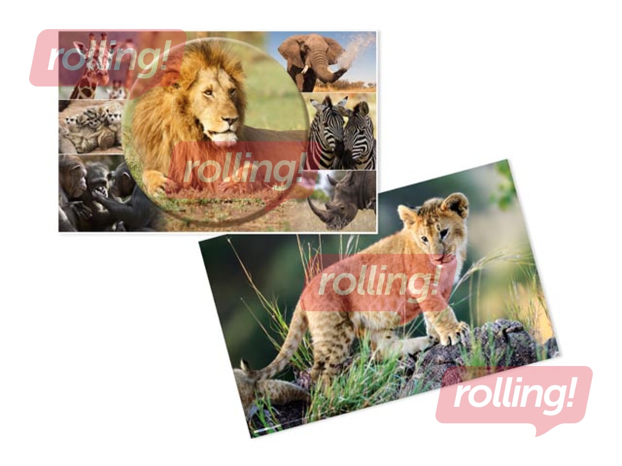 Galda segums ar dzīvnieku attēliem, 55x35cm