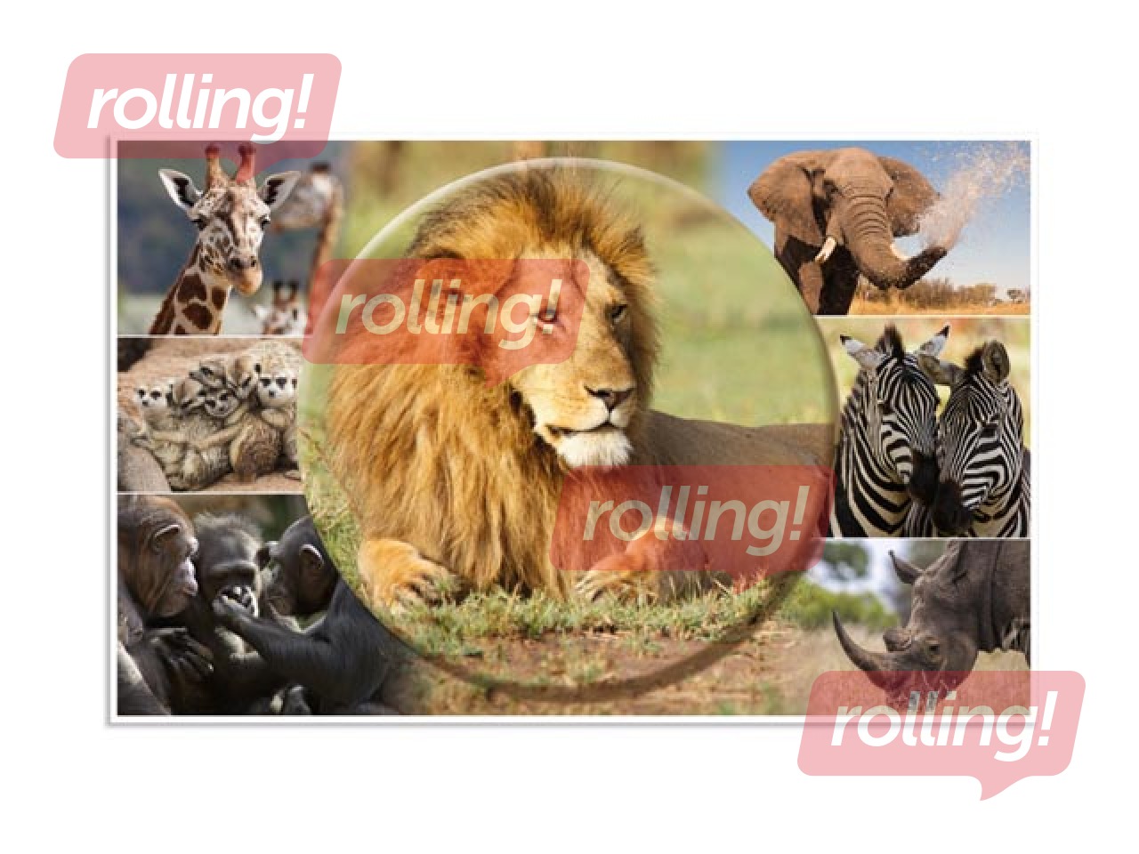 Galda segums ar dzīvnieku attēliem, 55x35cm