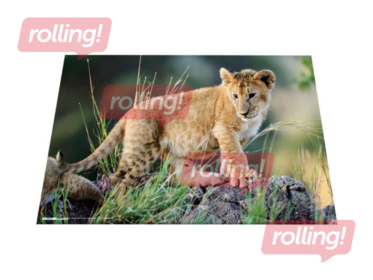 Galda segums ar dzīvnieku attēliem, 55x35cm