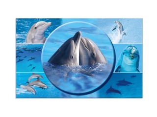 Galda segums ar dzīvnieku attēliem, 55x35cm