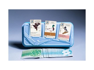 Galda spēle Spārnotie