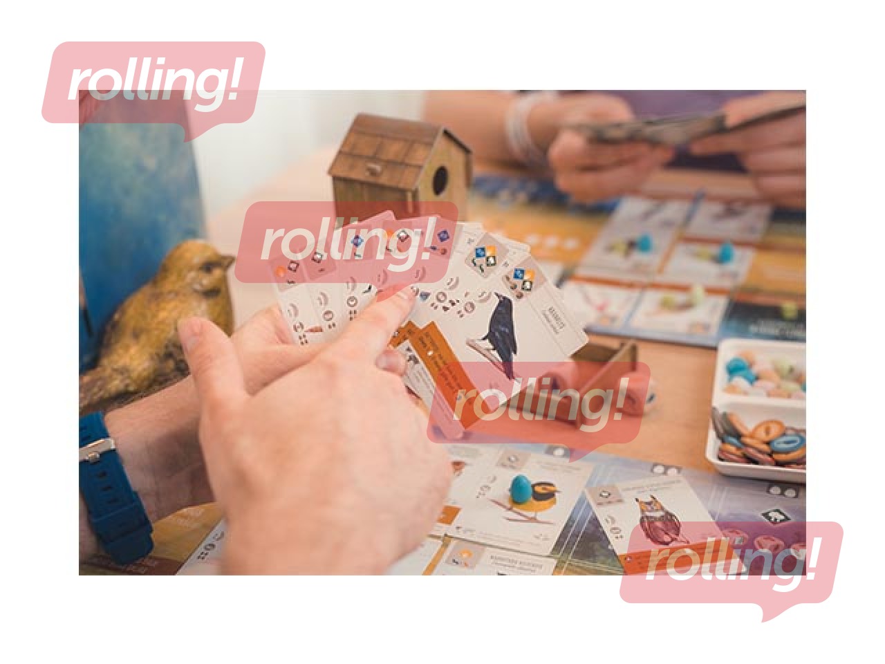 Galda spēle Spārnotie