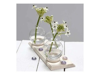 Koka riņķītis, ⌀ 55mm, biezums 37mm, 6 gab.