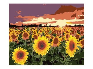 Dimanta mozaīka + gleznošana pēc numuriem, 40x50cm