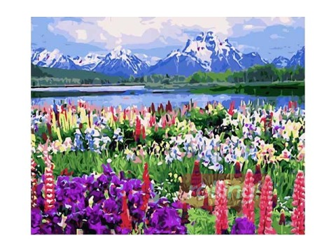 Komplekts gleznošanai pēc numuriem