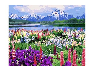 Komplekts gleznošanai pēc numuriem