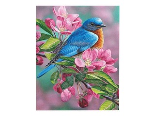 Komplekts gleznošanai pēc numuriem