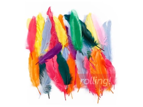 Dekoratīvās spalvas, mix, 350 gab.