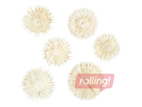 Kaltētas puķu galviņas, 6 gab.