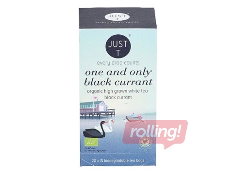 Tēja baltā Just-T One and Only Black Currant Bio 1g x 20