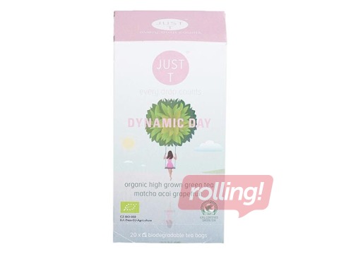 Tēja zāļu Just-T Dynamic Day Bio 1g x 20