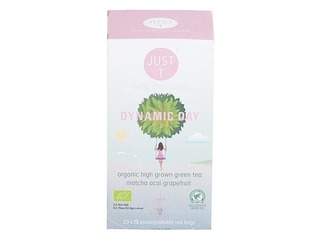 Tēja zāļu Just-T Dynamic Day Bio 1g x 20