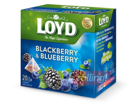Tēja augļu Loyd Pyramids ar melleņu un kazeņu garšu, 20x2 g