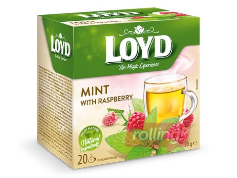 Tēja piparmētru Loyd Pyramids Herbal ar avenēm, 20 x 1,5g