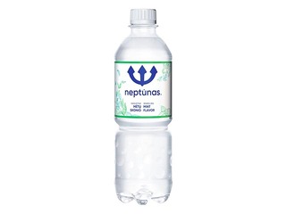 Minerālūdens Neptunas Mint, gāzēts, PET, 500ml (Taras depozīts iekļauts cenā)