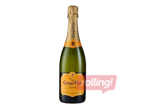 Dzirkstošais vīns Campo Viejo Cava Brut Reserva, 11.5%, 0.75l